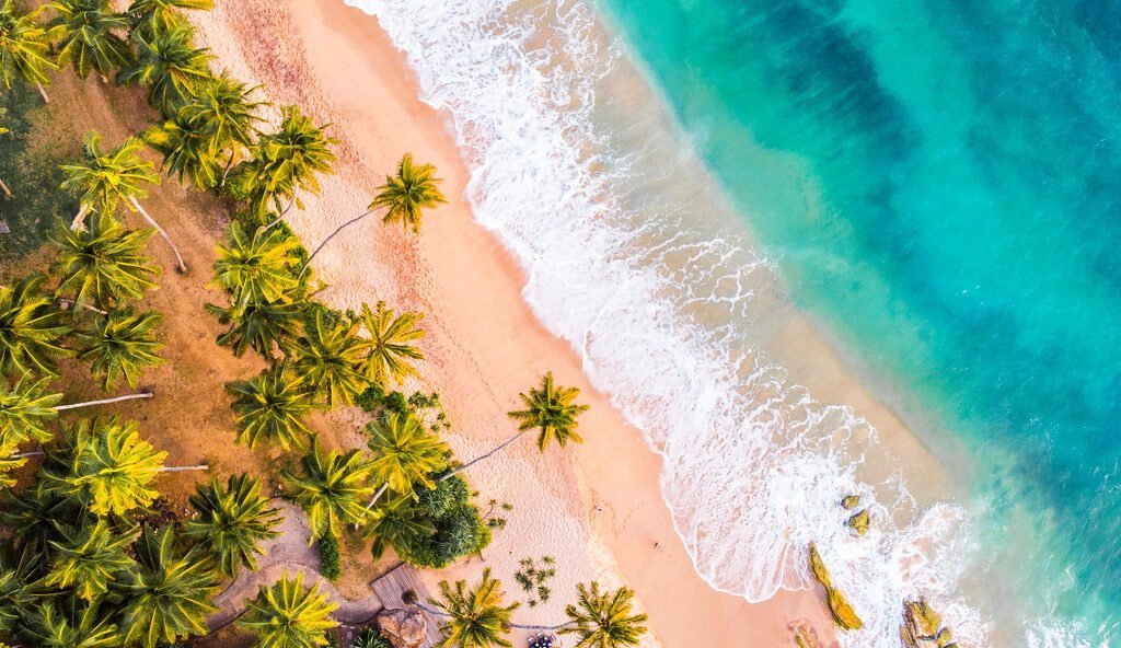 BEACHES AND SEA LIFE