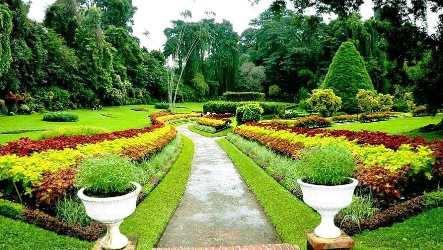 472864805kandy botanical garden e1737095929656