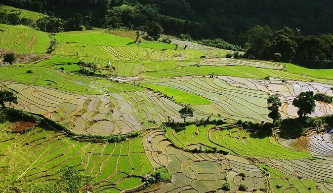 kaandy village tour e1736498268819